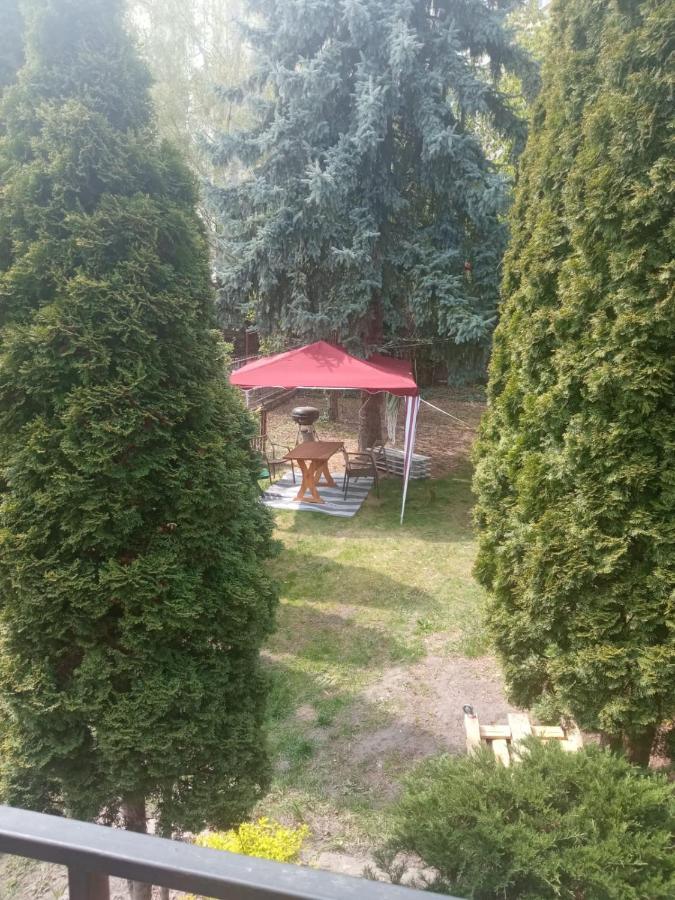 Homestay Garden Wroclaw